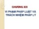 Bài giảng Lý luận nhà nước và pháp luật - Chương 21: Vi phạm pháp luật và  trách nhiệm pháp lý